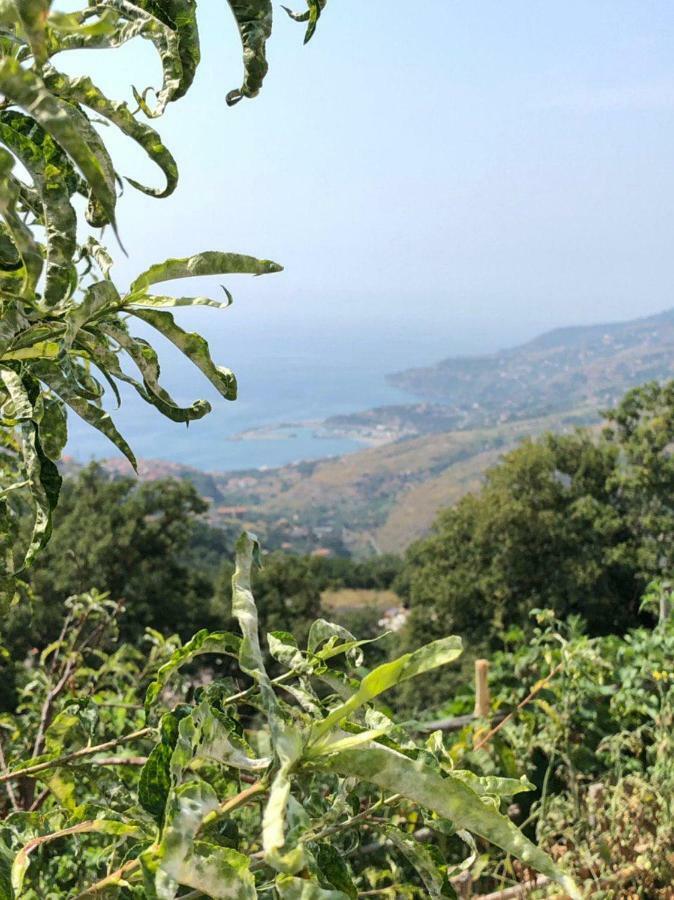 La Terrazza Di Carmen E Fausto Appartement Cetraro Buitenkant foto